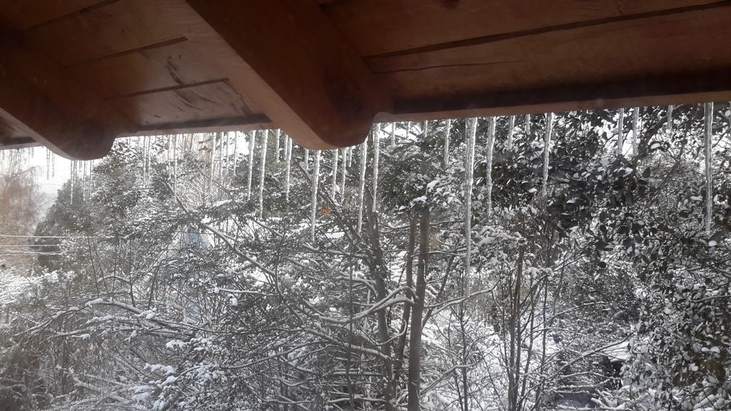 Apart De La Plaza Villa La Angostura Kültér fotó